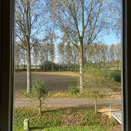 Bb Sunshine Schijndel
