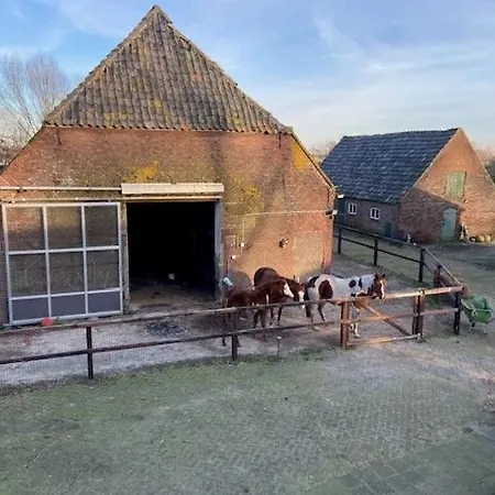 住宿加早餐酒店 Bb Sunshine Schijndel